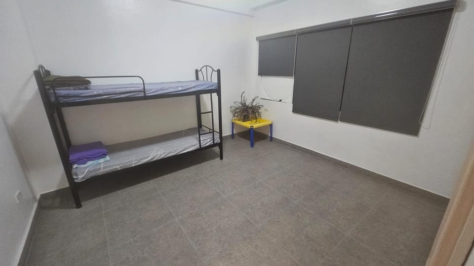 Bed, Photo of the whole room, Bedroom, bunk bed