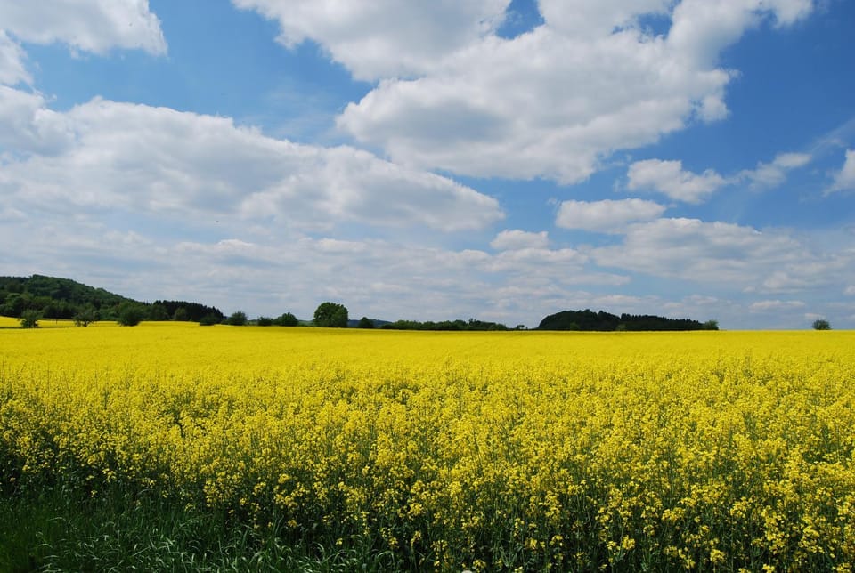 Natural landscape