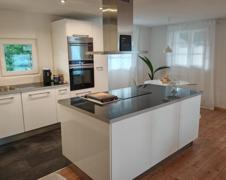 Kitchen or kitchenette, dishwasher, stove