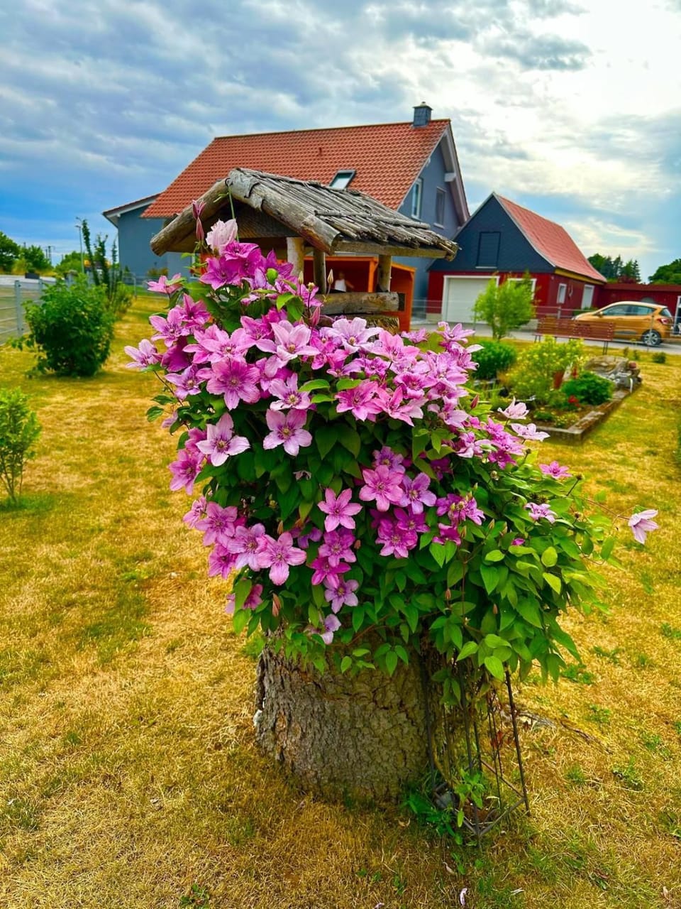 Ferienhaus Wiesenblick House in Thale