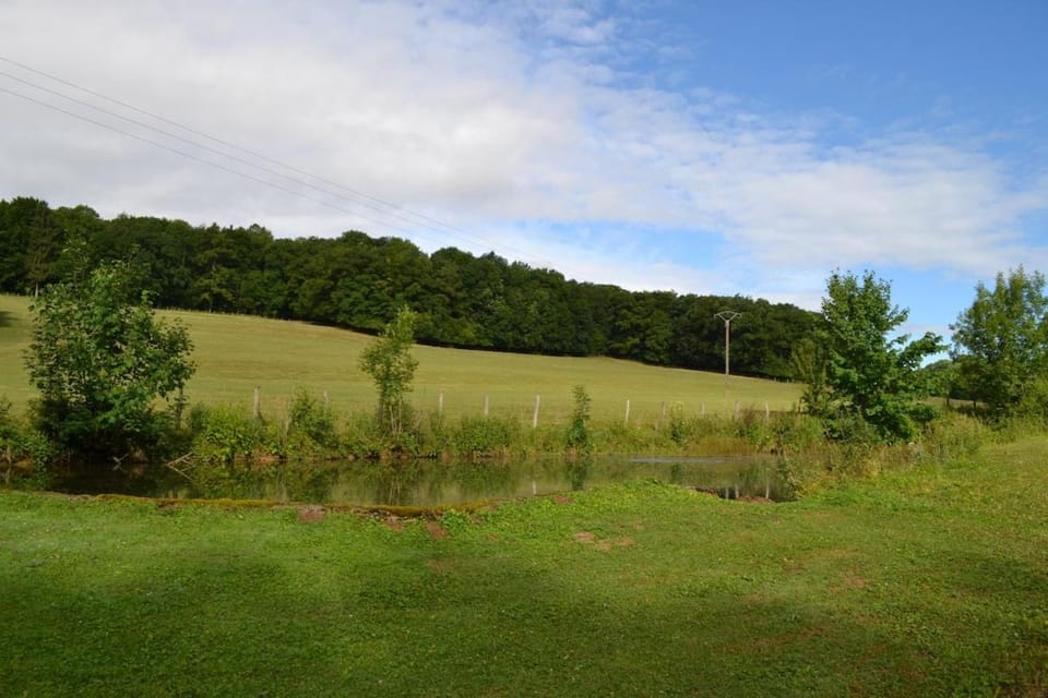 Natural landscape, Garden, Garden view