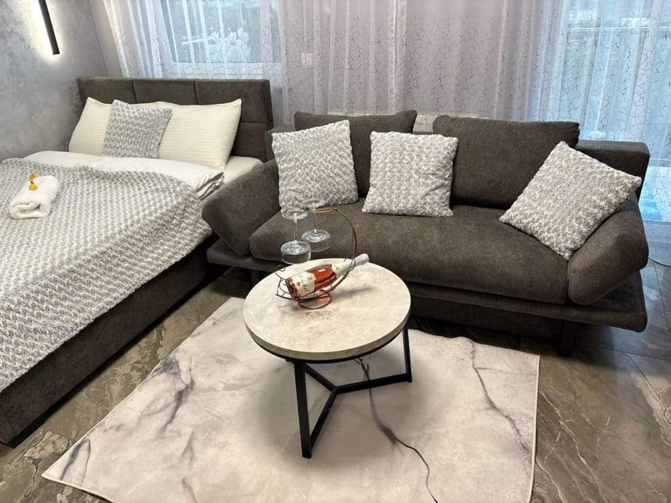 Studio Leszczyńskiego Przemyśl Apartment in Poland