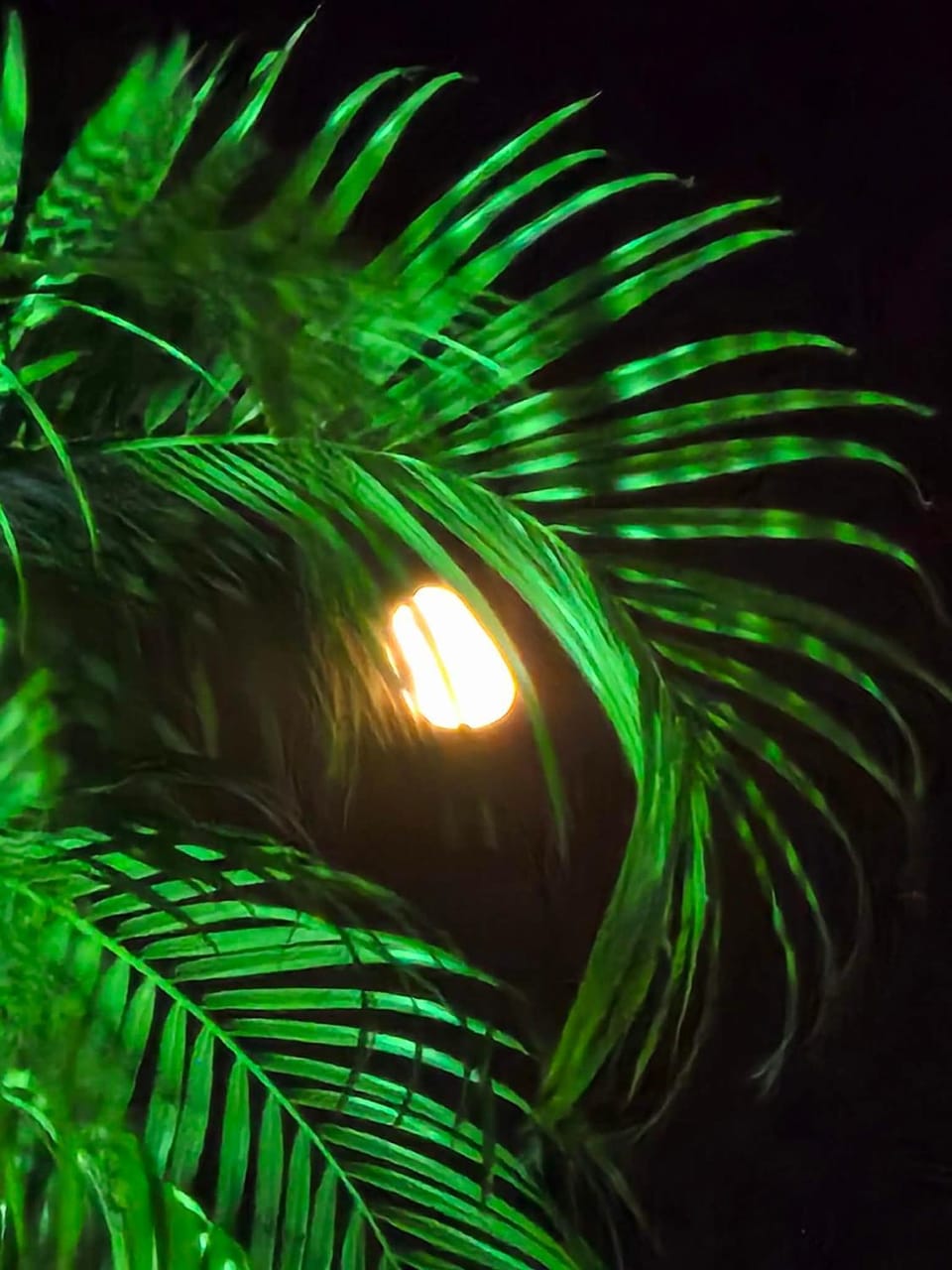 Night, Natural landscape