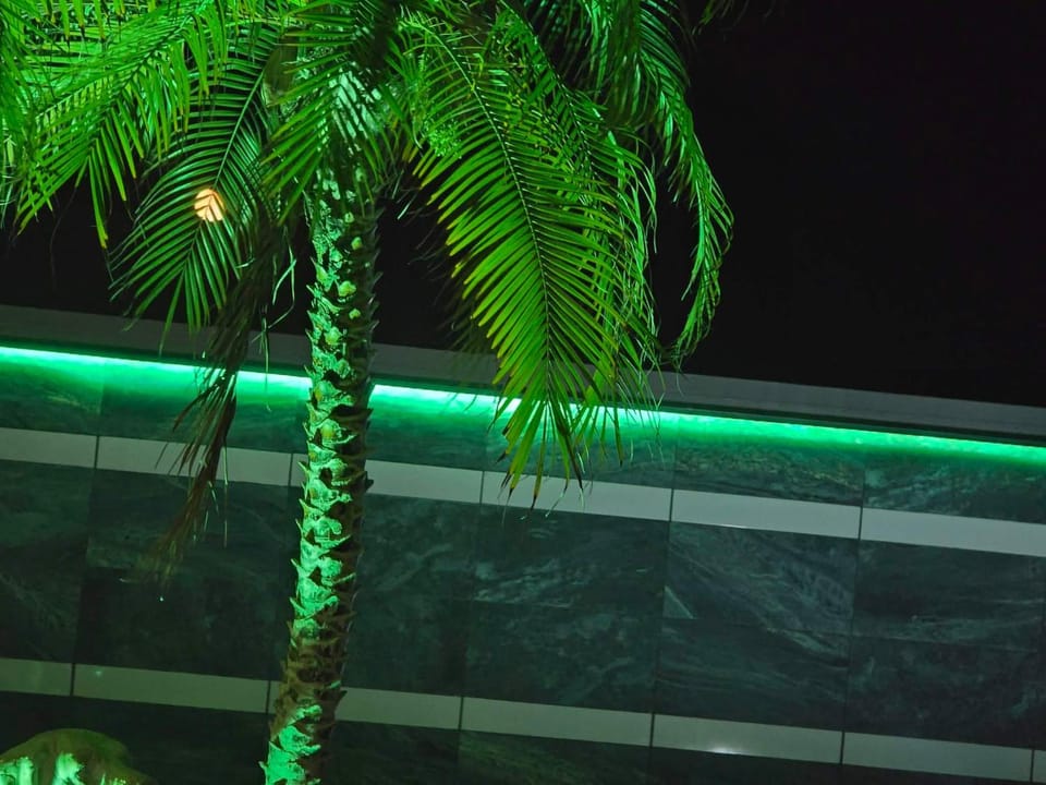 Night, Garden, Garden view, Pool view, Swimming pool