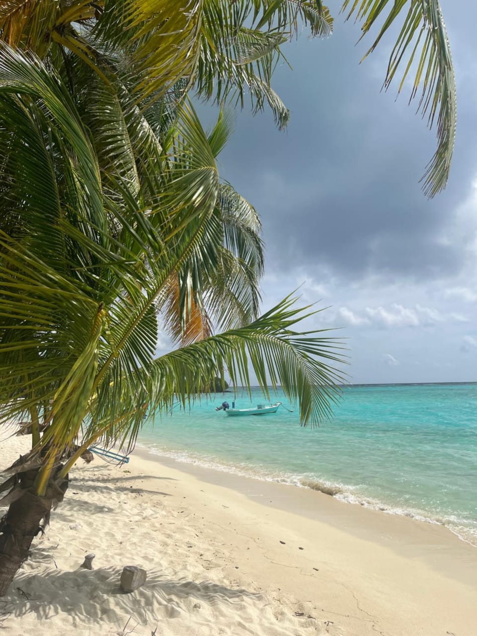 Natural landscape, Beach, Sea view