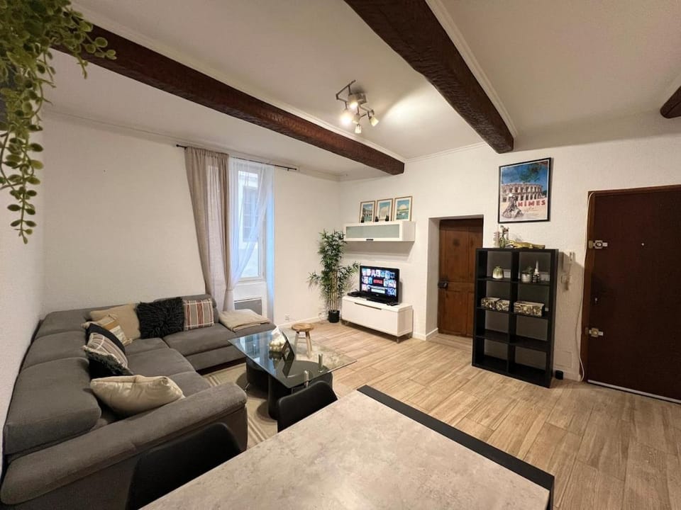 Cozy Apartment Centre Nîmes - Plaza Nemausus Apartment in Nimes