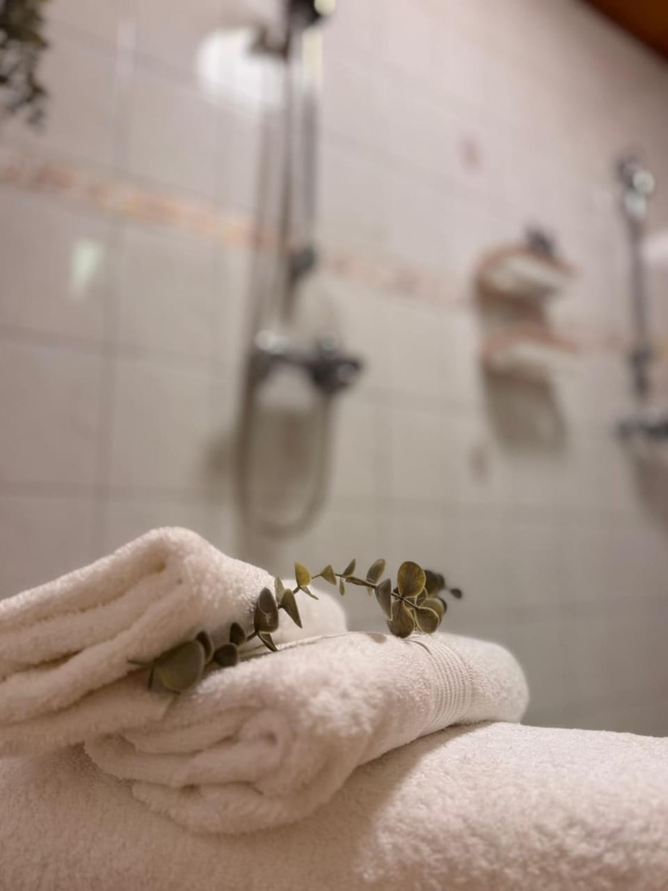 Shower, Bathroom, towels