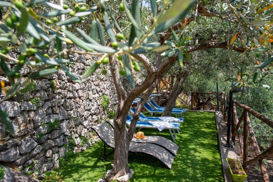Garden, sunbed