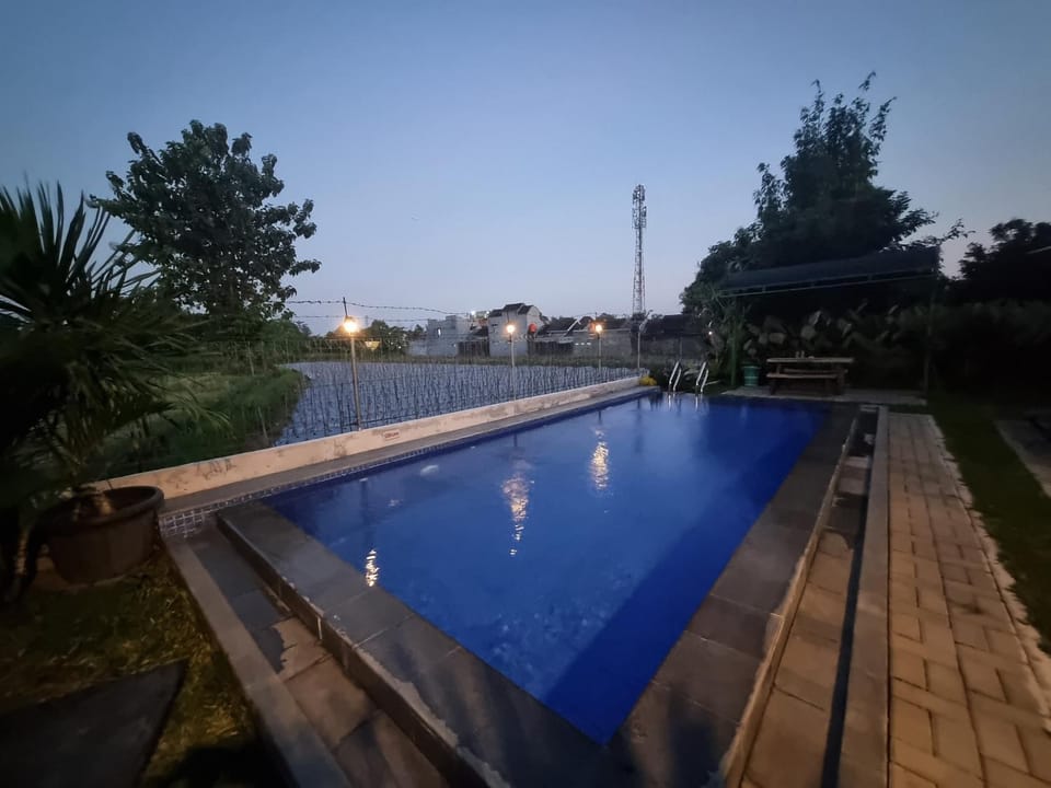 Swimming pool, Swimming pool