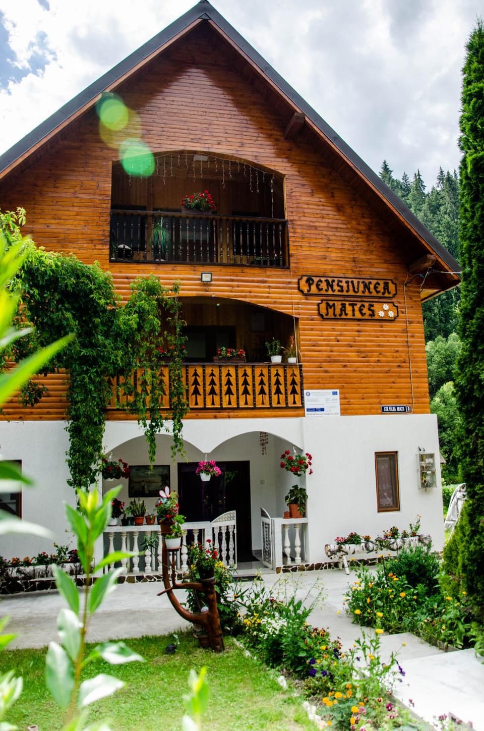 Pensiunea Mateș Bed and Breakfast in Cluj County