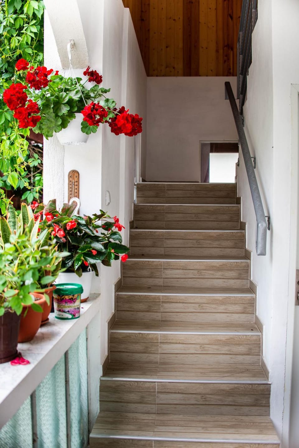 Pensiunea Mateș Bed and Breakfast in Cluj County
