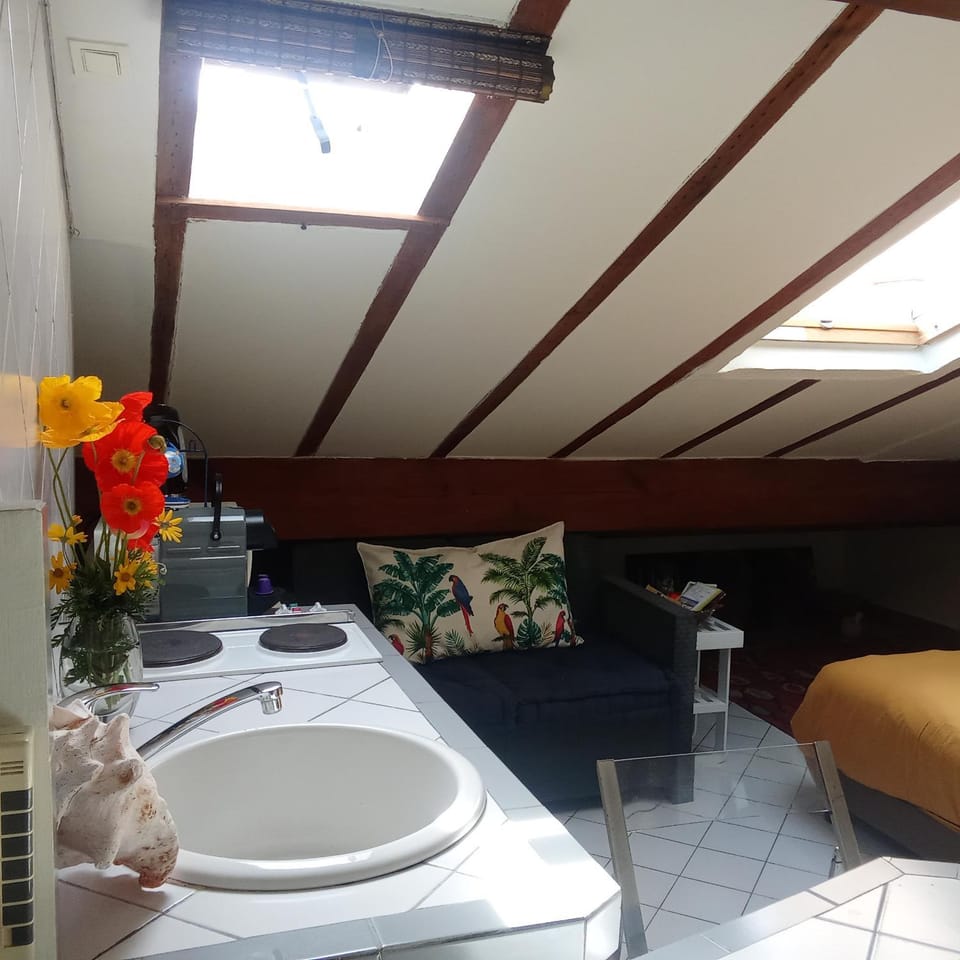 Studio atypique de charme Apartment in Cannes