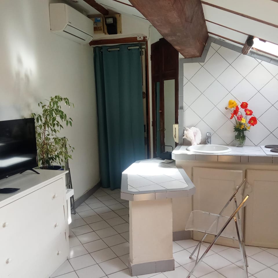 Studio atypique de charme Apartment in Cannes