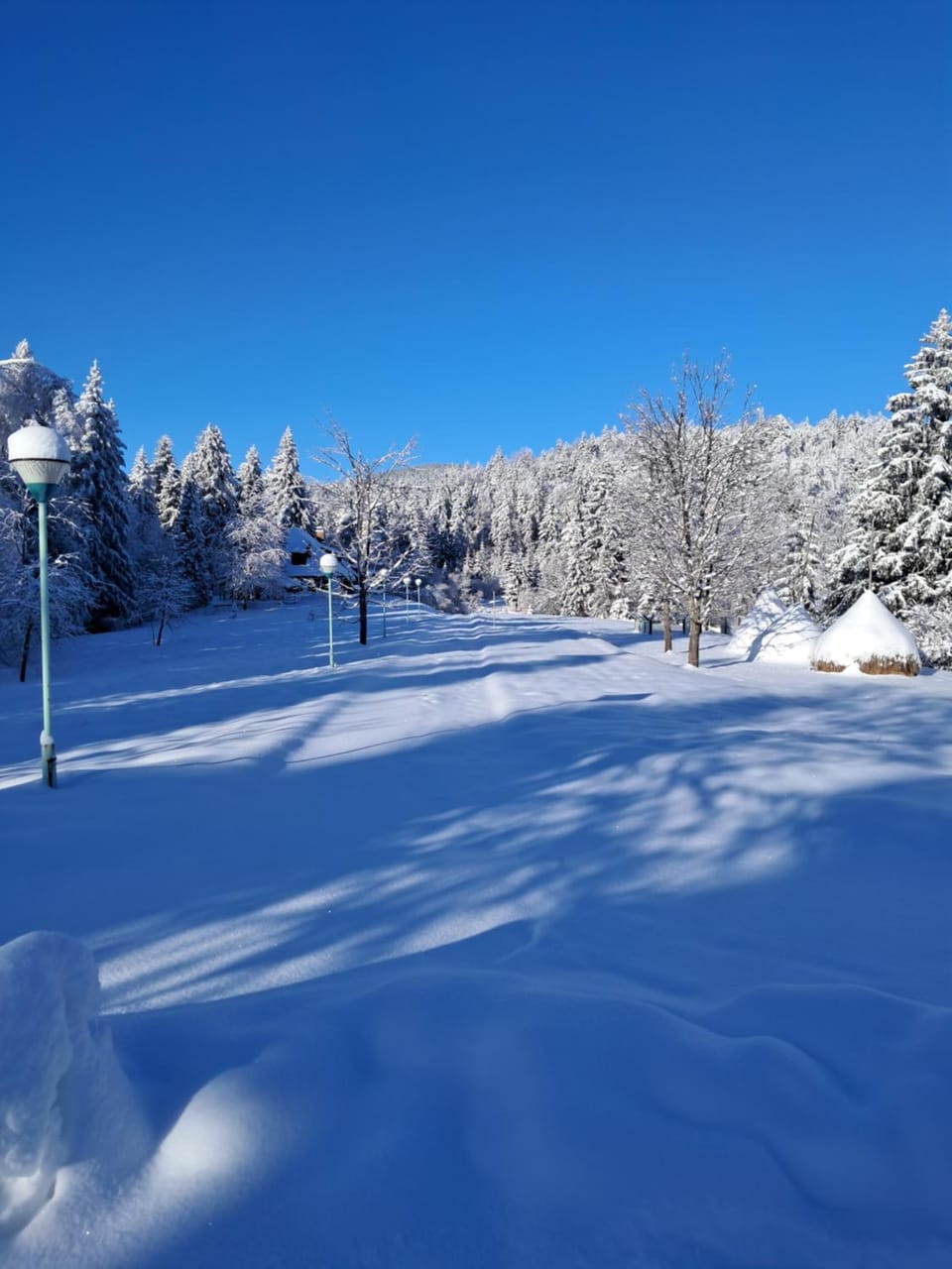 Omarsko vrelo - kuća na izvoru u srcu Tare Chalet in Zlatibor District, Serbia