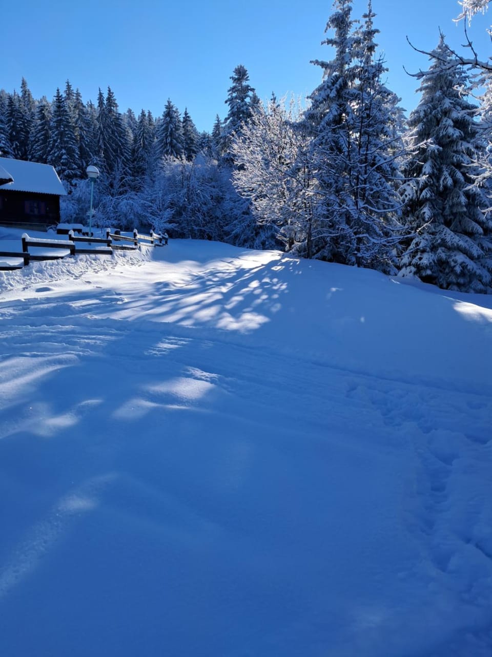 Omarsko vrelo - kuća na izvoru u srcu Tare Chalet in Zlatibor District, Serbia