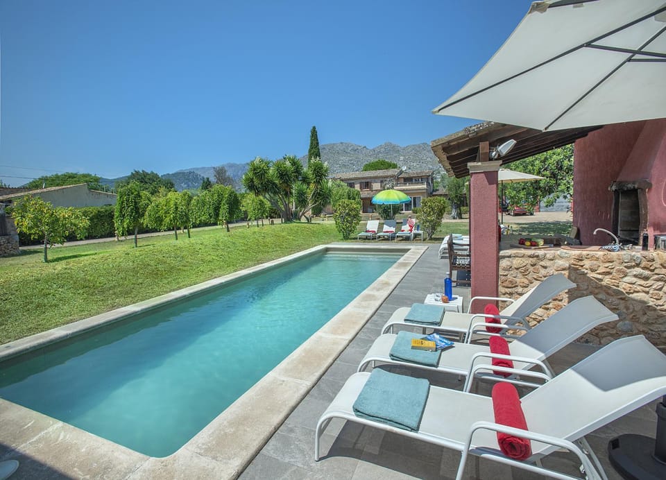 Patio, Garden, Garden view, Swimming pool, sunbed