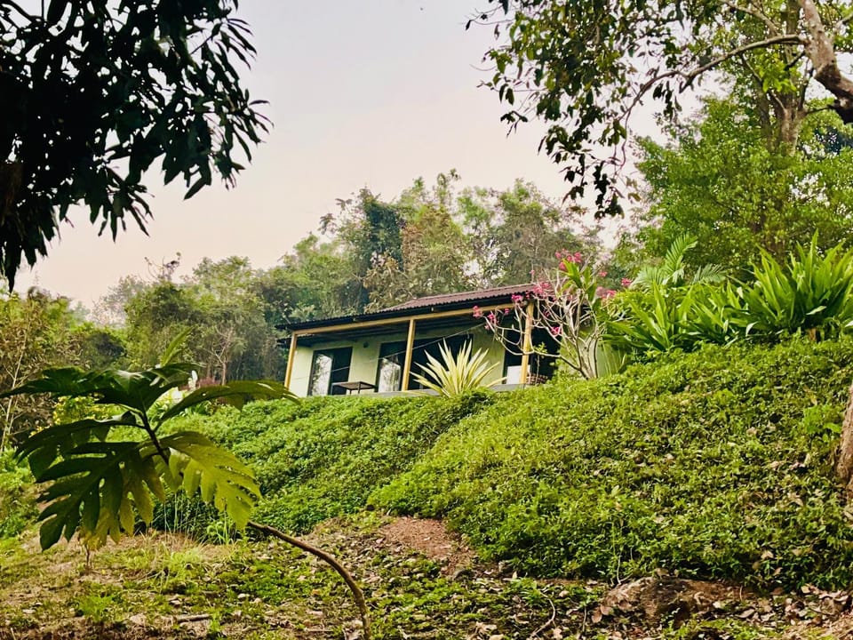 Property building, Natural landscape, Garden