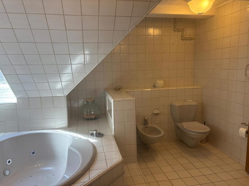 Toilet, Bathroom, bidet