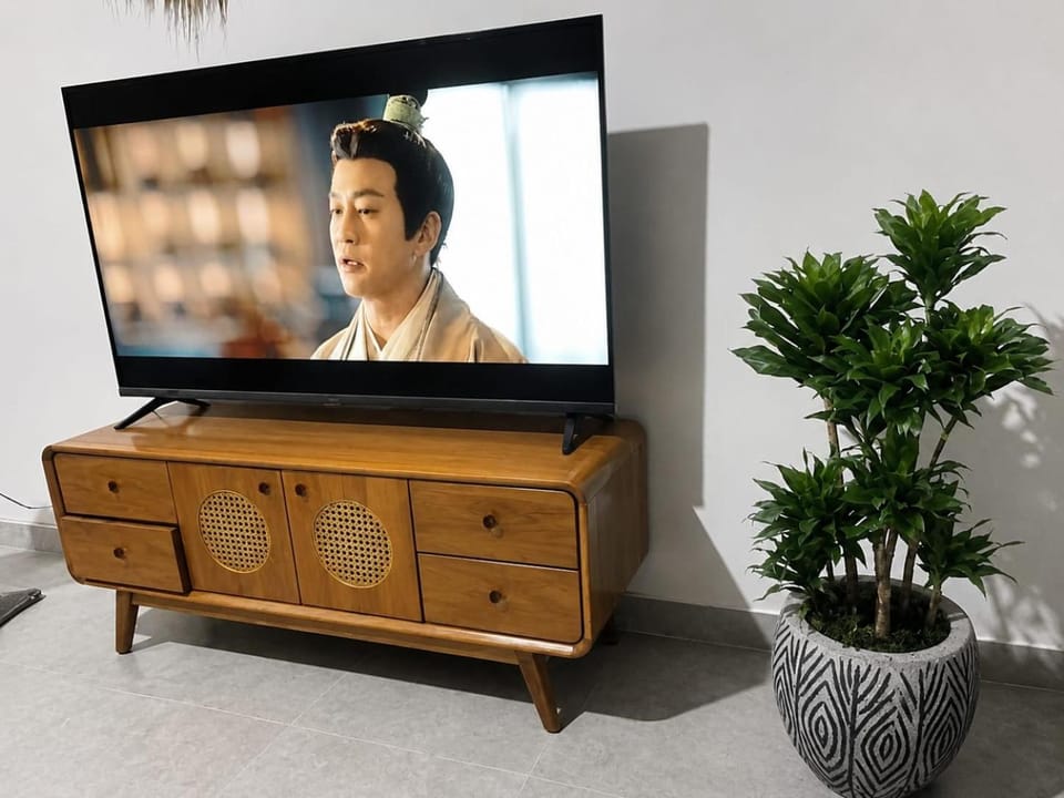 TV and multimedia