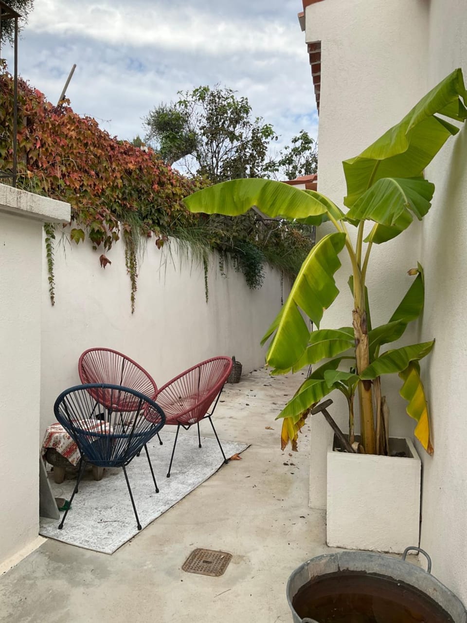 Balcony/Terrace, Garden view