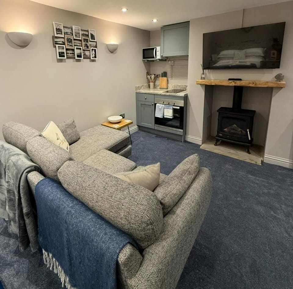 TV and multimedia, Kitchen or kitchenette, Living room, Seating area, fireplace, pet friendly