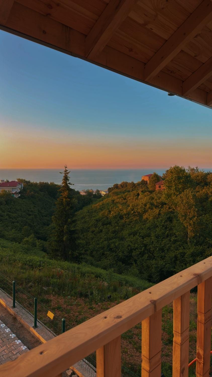 View (from property/room)