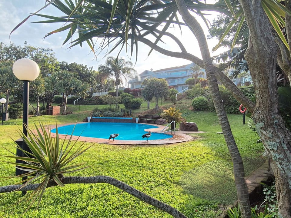 Day, Natural landscape, BBQ facilities, Garden, Garden view, Pool view, Swimming pool