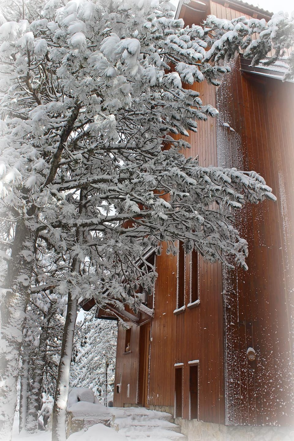 Day, Natural landscape, Winter, On site