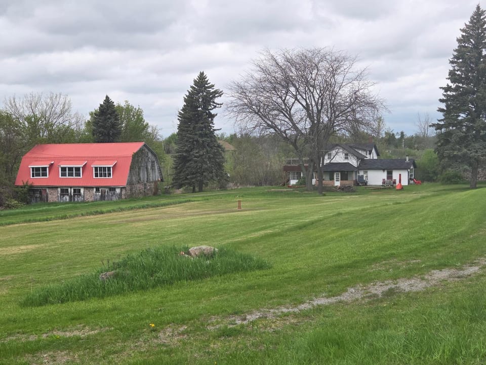 Property building, Spring, Day, Natural landscape, Garden, Garden view