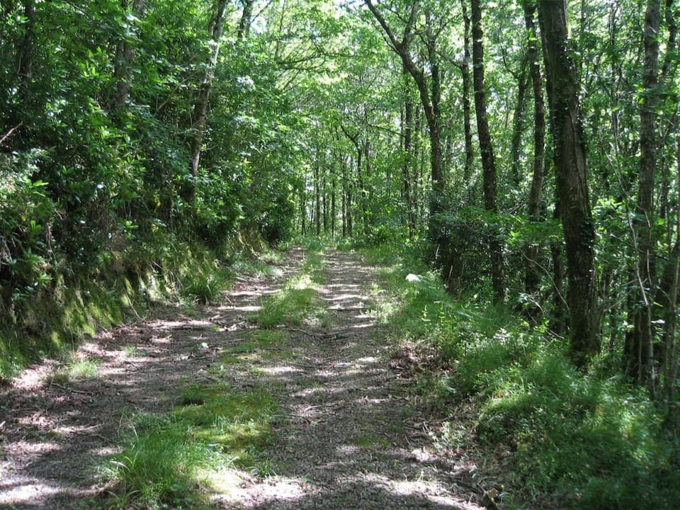 Forest View North Devon House in North Devon District