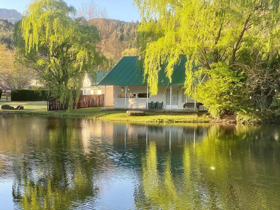 Lake view