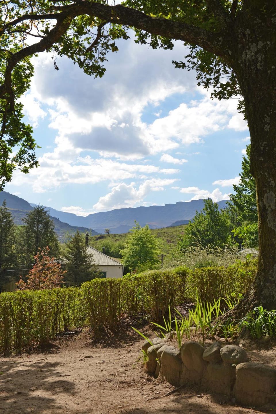 Garden view