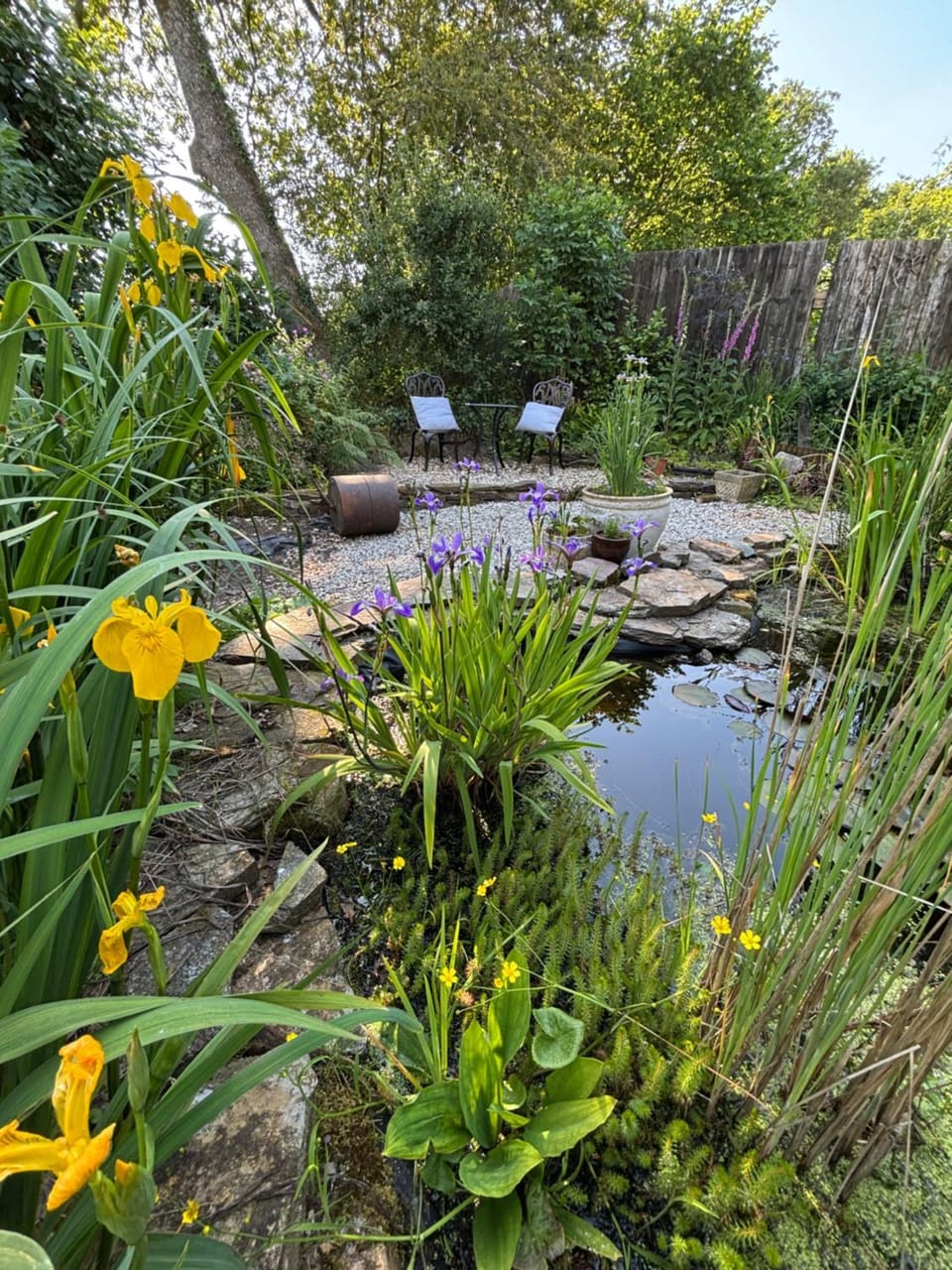 Natural landscape, Garden view