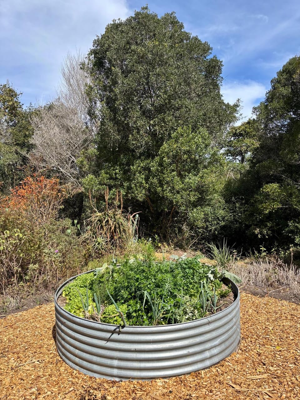 Garden view