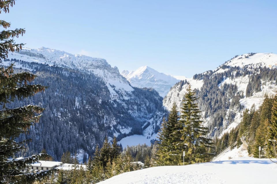 Mountain view
