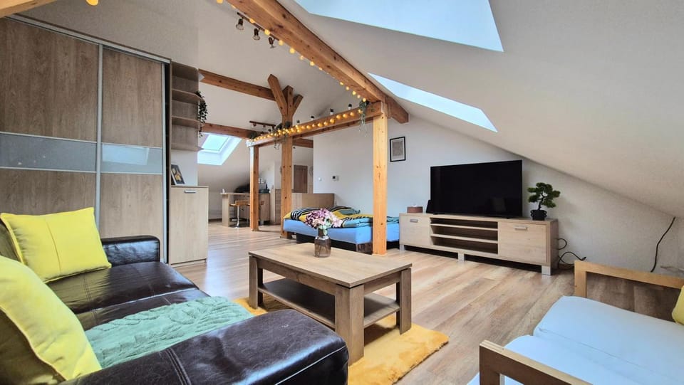 The Timonova Loft, Košice - Old Town Apartment in Slovakia