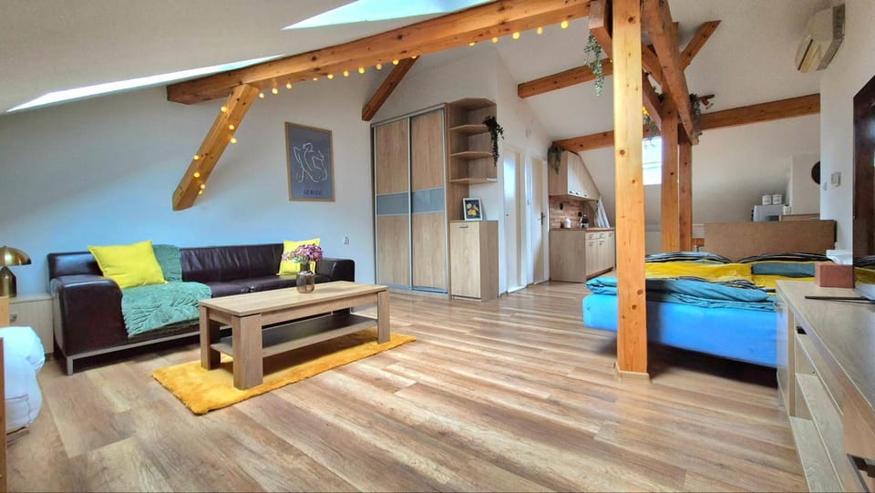 The Timonova Loft, Košice - Old Town Apartment in Slovakia