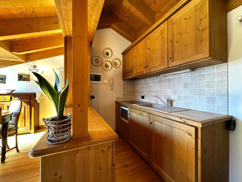 Kitchen or kitchenette, dishwasher