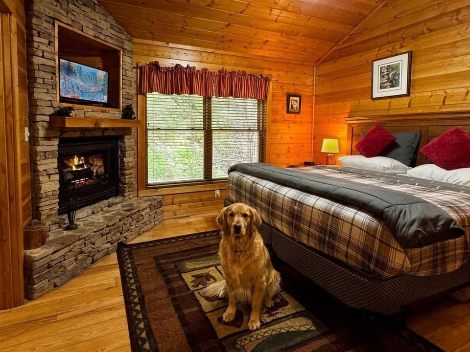 Guests love staying with us in our great locations! House in Sevier County