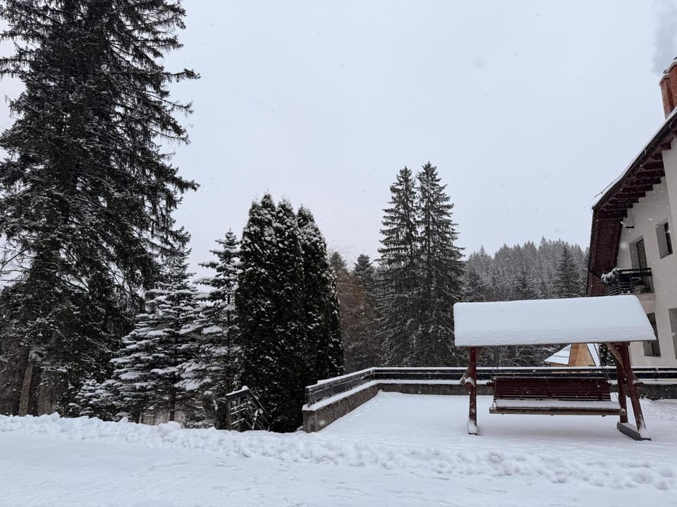 Vila Daria Bed and Breakfast in Brasov