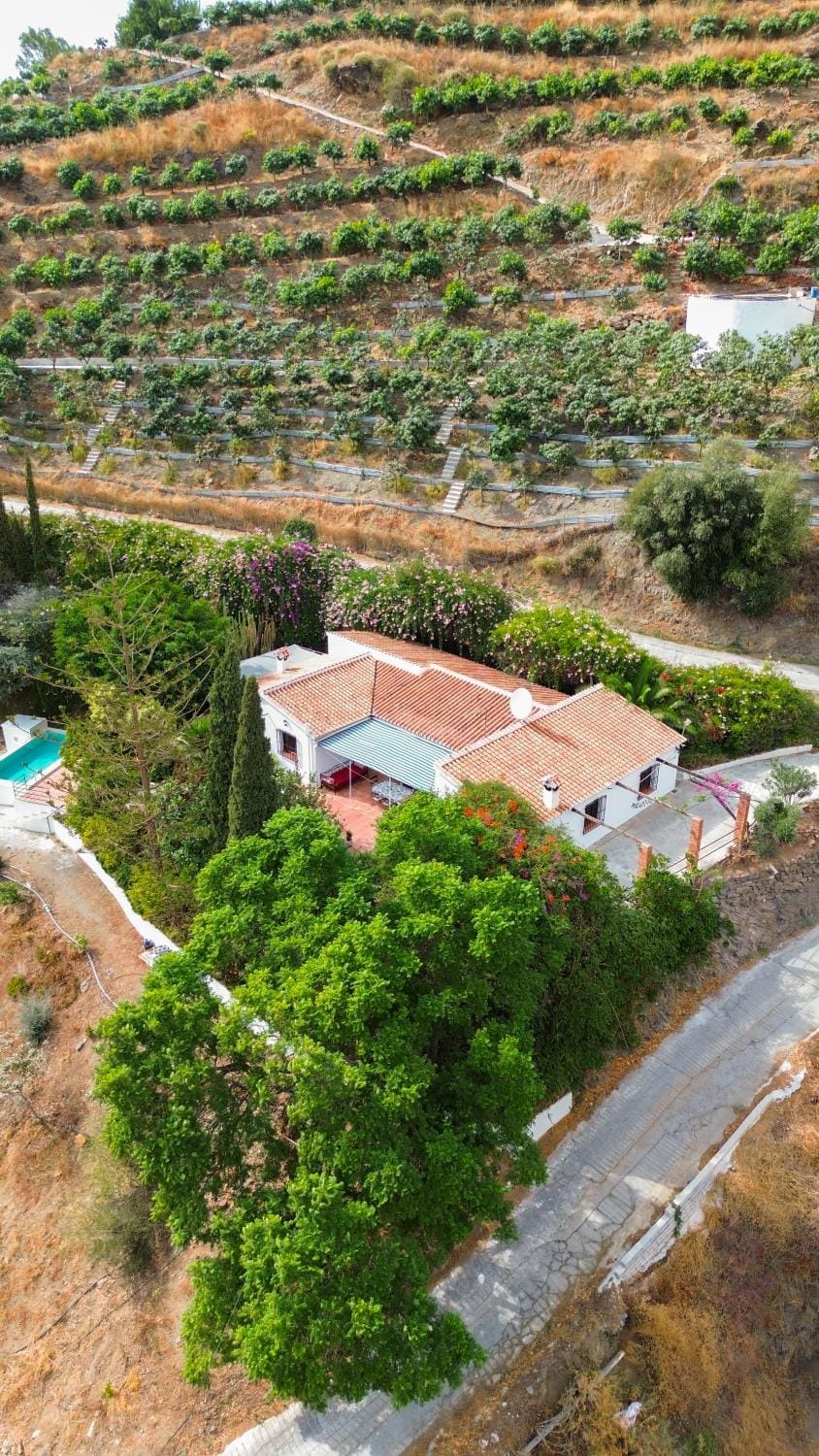 Day, Natural landscape, Garden, Garden view, Swimming pool