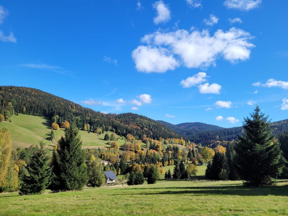 Mountain view