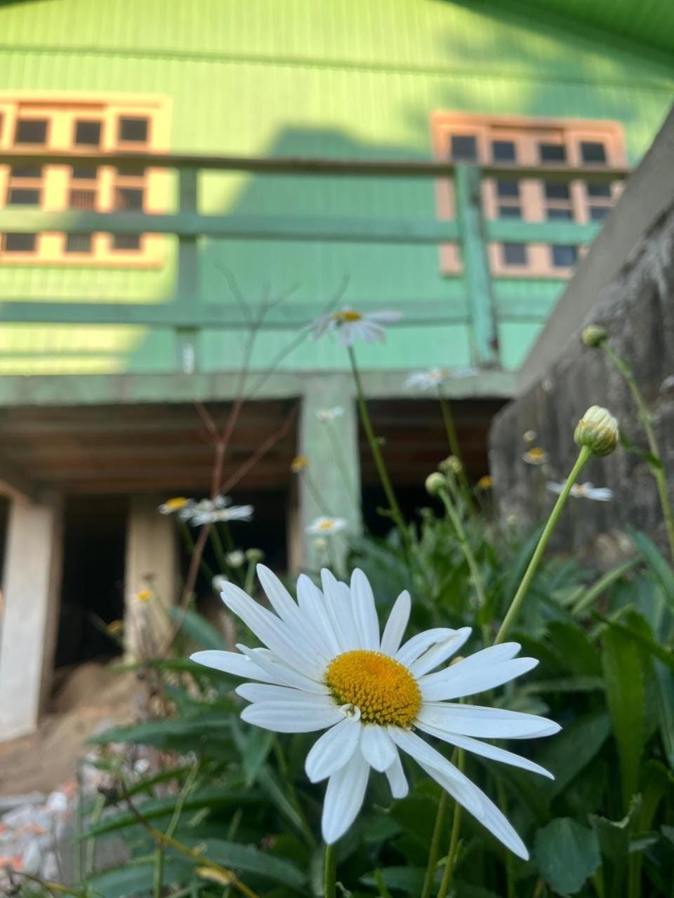 Casa Vó Lala House in Florianopolis