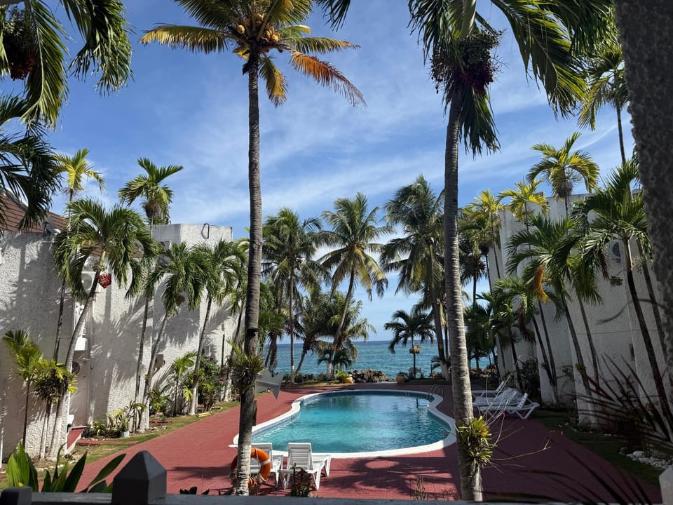 Day, Pool view, Swimming pool
