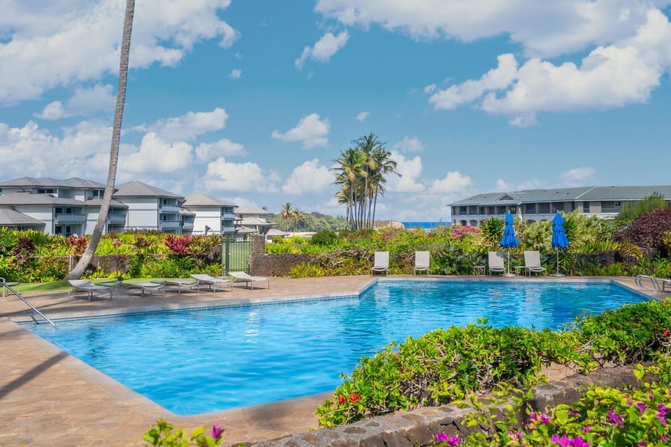Swimming pool, Swimming pool, sunbed