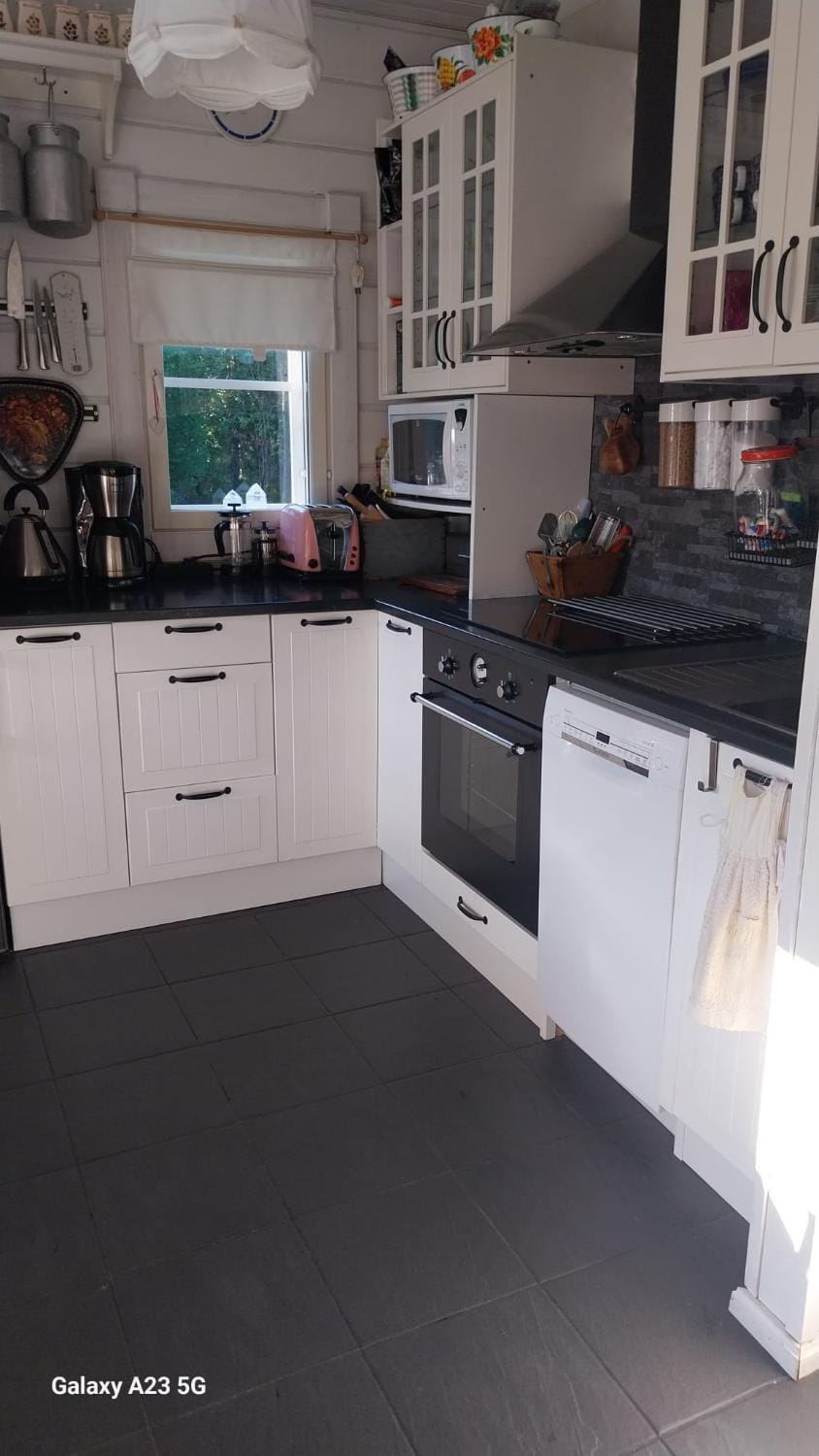 Kitchen or kitchenette, dishwasher, stove