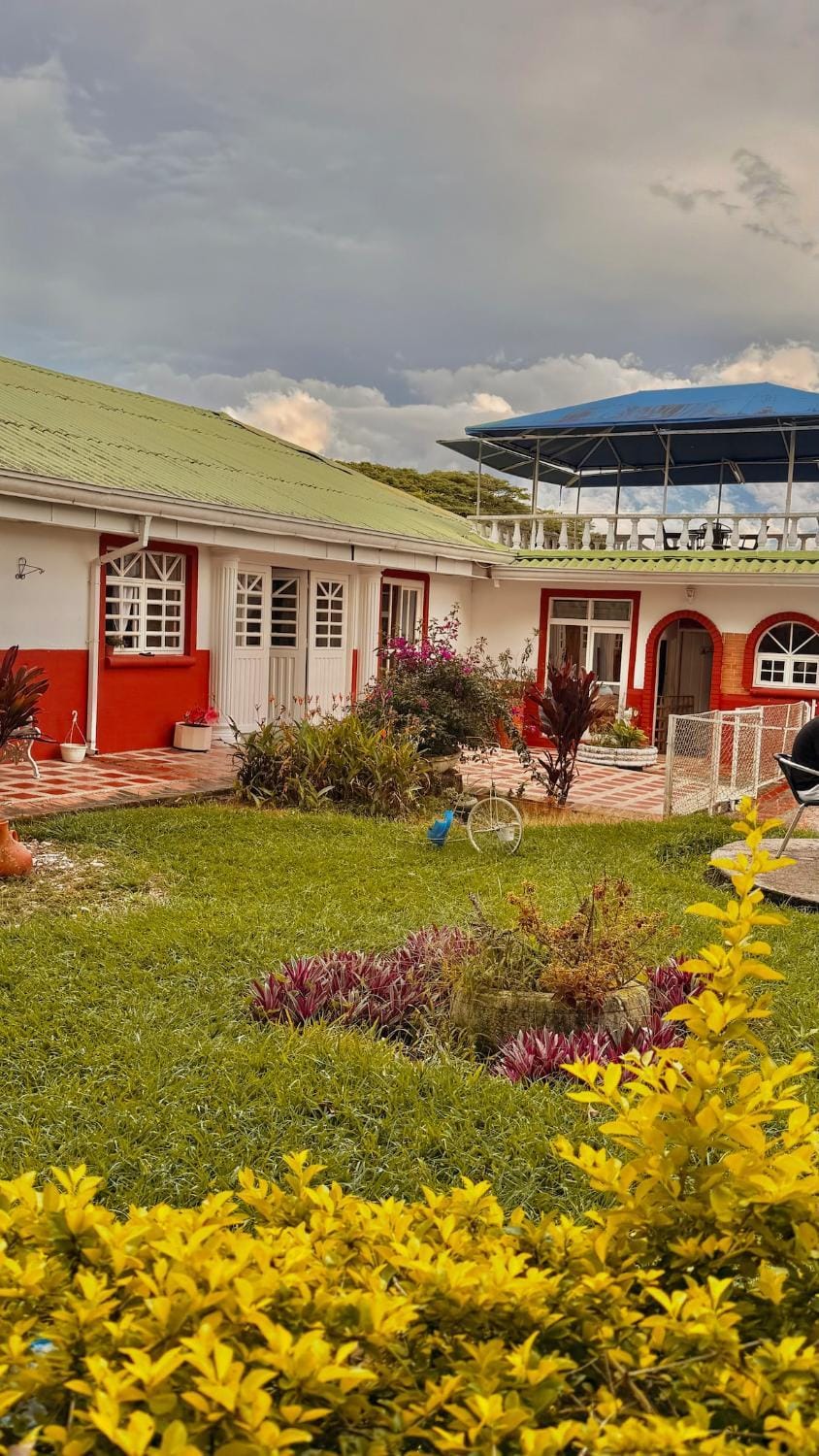 Garden view