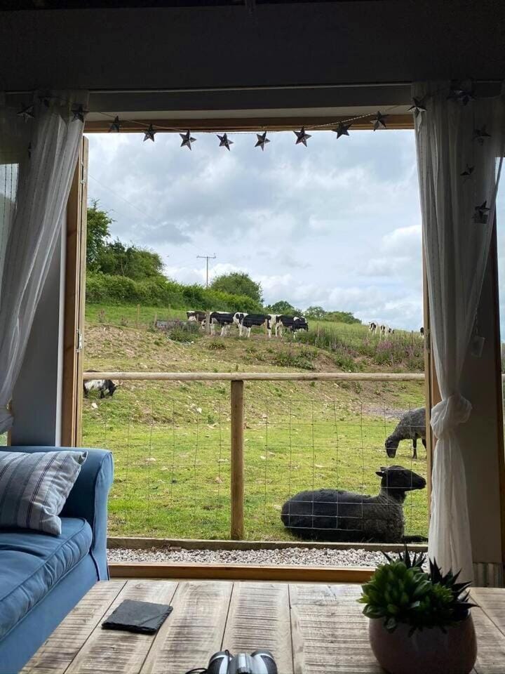 Day, Natural landscape, Garden, Living room, Seating area, Garden view