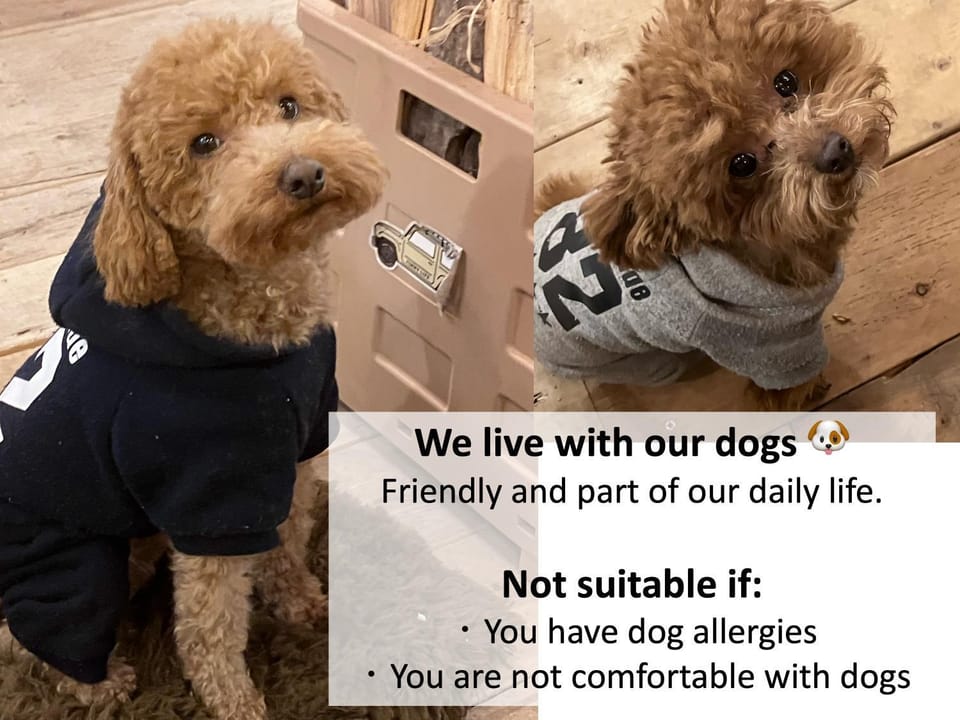Pets