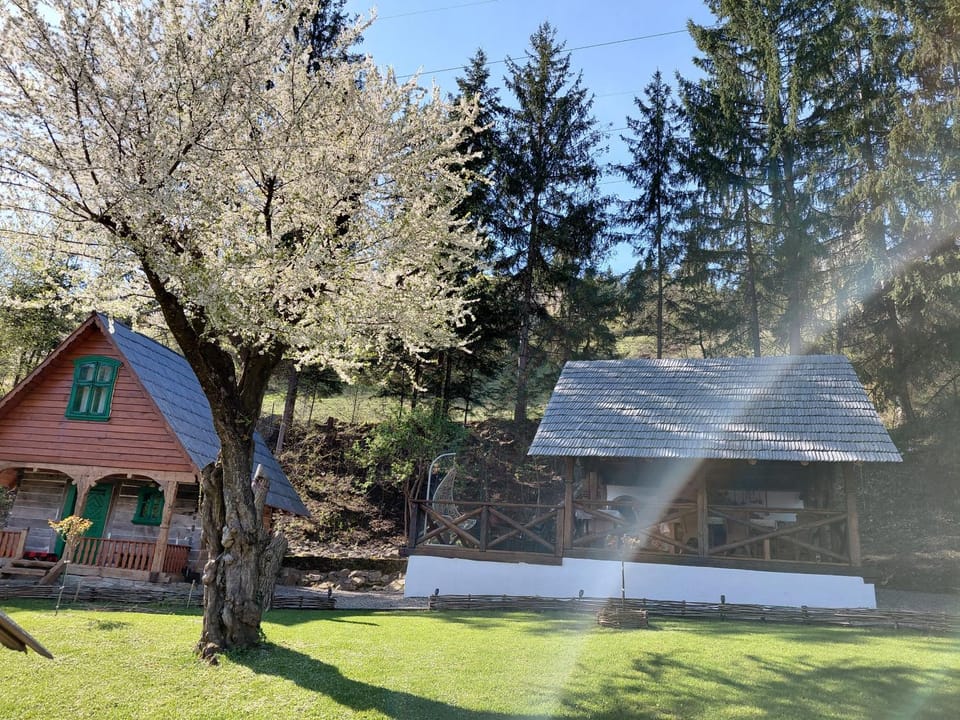 Casa Grosu House in Romania